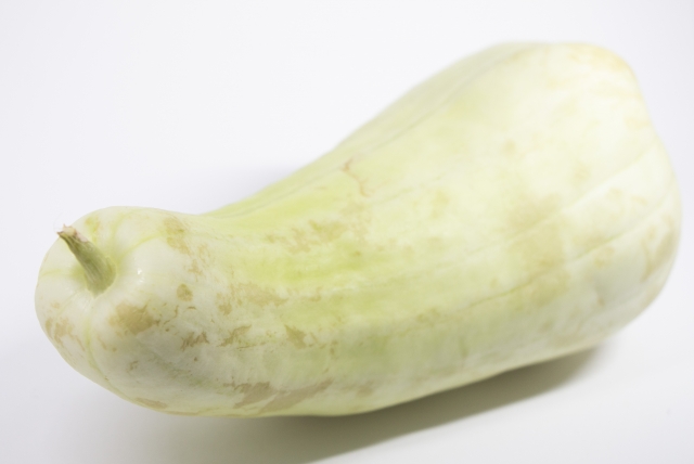 白瓜は生で食べれる?漬物だけでなく色々な調理法で美味しく旬の白瓜を食べつくす | 日々の生活に役立つマキのメモ帳
